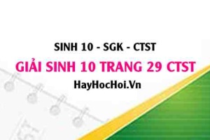 Giải Sinh 10 trang 29 Chân trời sáng tạo SGK